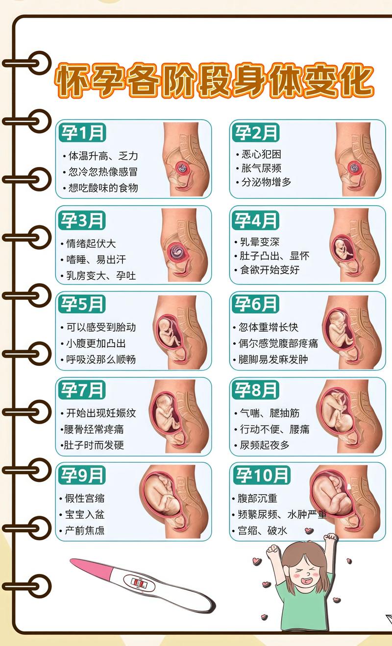 揭秘供卵代孕妈妈怀孕小腹分两节，孕期变化的奥秘黔东南代生机构: