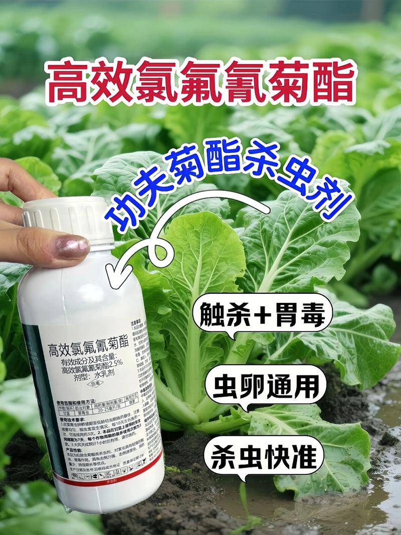 黔东南代生中心:农药对供卵代生妈妈的危害